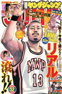朝歌赋电视剧免费观看