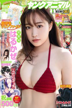 美人私房菜电视剧