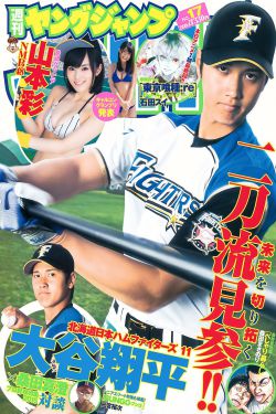 三分野电视剧免费观看